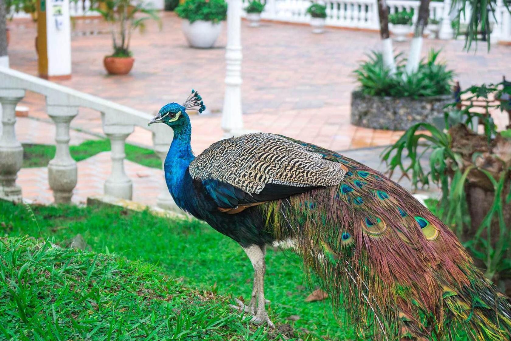 Hotel Posada San Sebastian San Jerónimo Εξωτερικό φωτογραφία